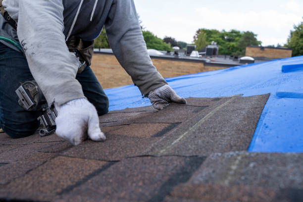 Best Flat Roof Repair Services  in Lenwood, CA